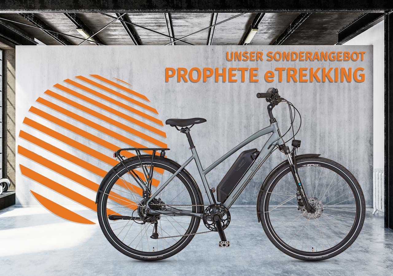 Fahrrad & EBike von Prophete. Das Familienfahrrad